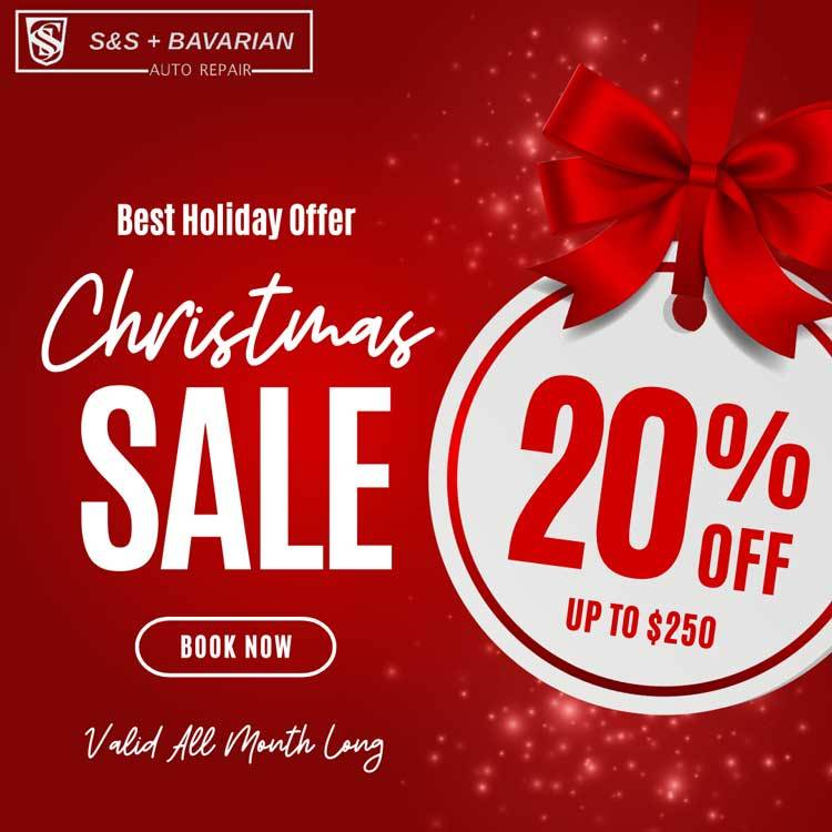 chrismas sale popup 01